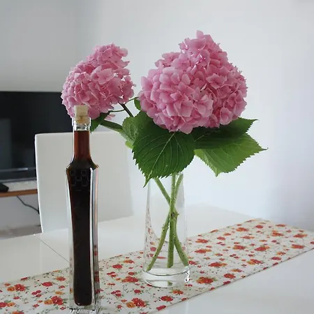 Meri Apartment Lägenhet Vodice
